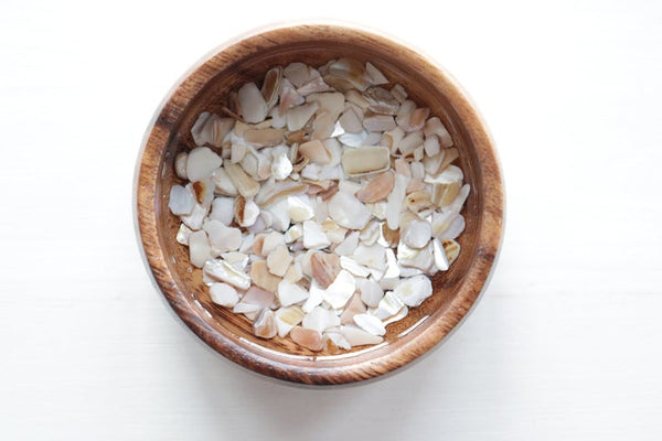 Wooden Ring Dish- Shells