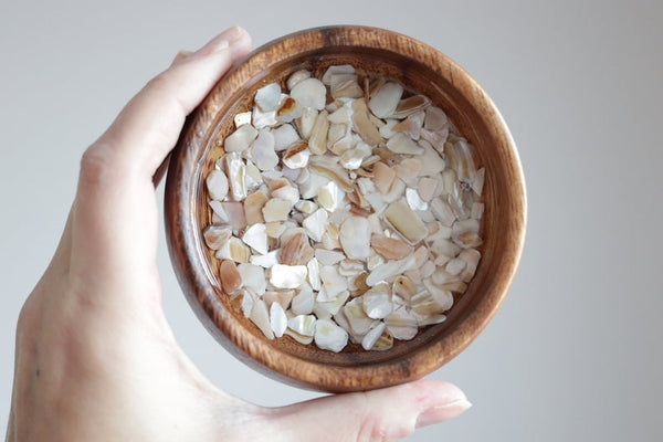 Wooden Ring Dish- Shells